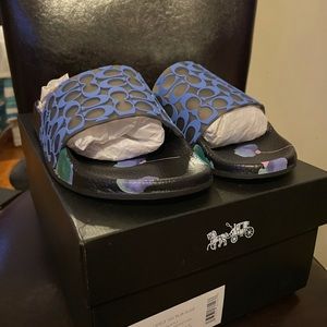 COACH Udele Sig Rub Slide: BLACK/PURPLE